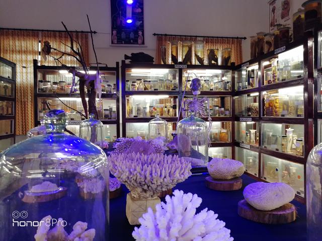 Blog Images